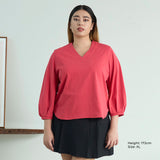 V-Neck Pleated Sleeve Top